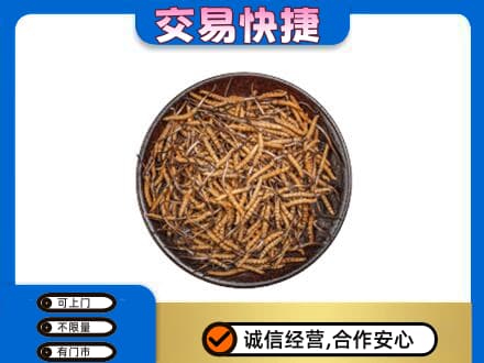 相城区回收散虫草